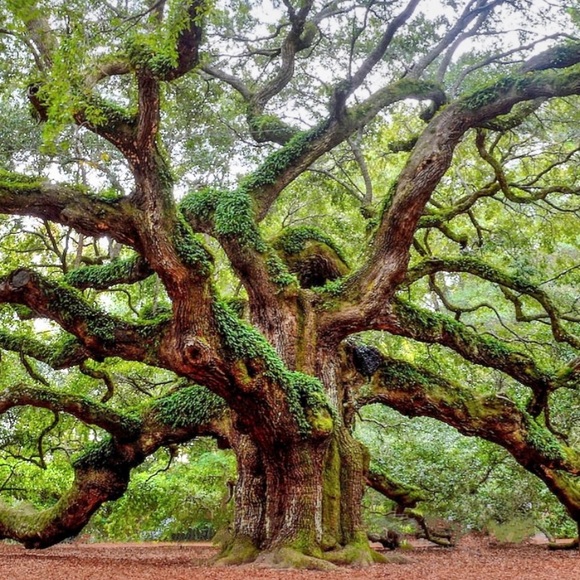 Meet your Posher - Picture 9 of 16